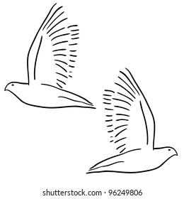 Concept of love or peace. Set of white vector doves.