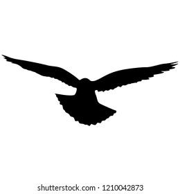 Concept of love or peace silhouettes doves