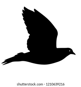 Concept of love or peace silhouettes doves