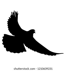 Concept of love or peace silhouettes doves