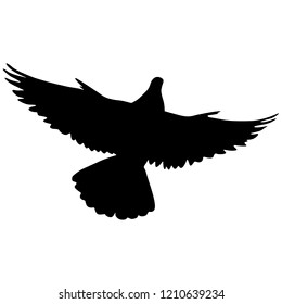 Concept of love or peace silhouettes doves