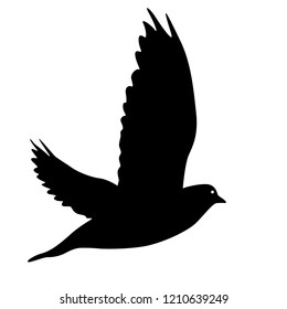 Concept of love or peace silhouettes doves