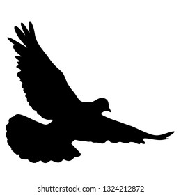 Concept of love or peace silhouettes doves