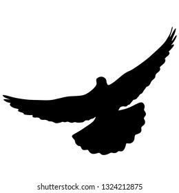 Concept of love or peace silhouettes doves