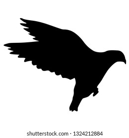 Concept of love or peace silhouettes doves