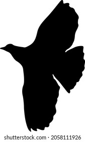 Concept of love or peace. Silhouettes doves