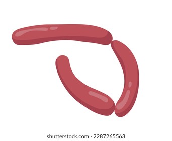 Concept Meat sausages. The illustration depicts a cartoon sausage, representing the concept of a meat product. The image is created in a flat style. Vector illustration.