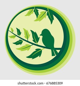  Concept nature and animals idea, Bird on tree branch 