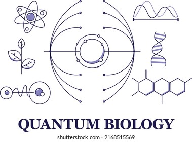 Concept on the topic of quantum biology. New revolutionary types of science.