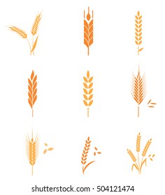 Concept for organic products label, harvest and farming, grain, bakery, healthy food. Agricultural symbols isolated on white background. Harvest. Organic food. Farmers product.