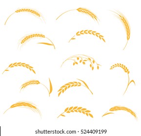 Concept for organic products label, harvest and farming, grain, bakery, healthy food. Set of simple wheats ears icons and wheat design elements, organic wheats local farm fresh food, bakery.