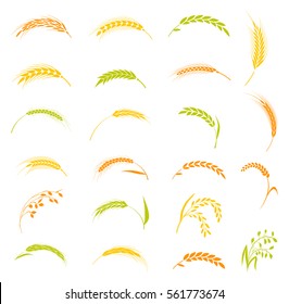 Concept for organic products label, harvest and farming, grain, bakery, healthy food. Set of simple wheats ears icons and wheat design elements, organic wheats local farm fresh food, bakery.