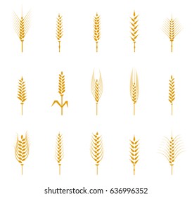 Concept for organic products label, harvest and farming, grain, bakery, healthy food. Cereals icon set with rice, wheat, corn, oats, rye, barley. 