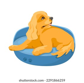 Concept Pet dog. The illustration is a flat vector design of a cute cartoon dog on a white background. Vector illustration.