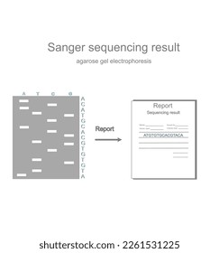 The concept picture of sequencing result report of DNA sequence after detection with Sanger sequencing technique and separated the DNA fragment with gel electrophoresis.