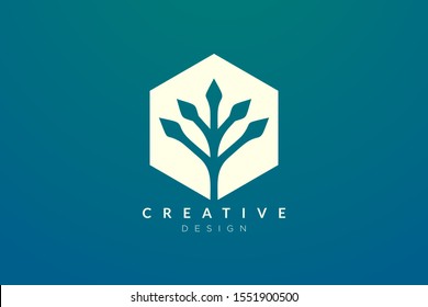 The concept of plant design is made into geometric shape in a hexagon with a minimalist and modern style