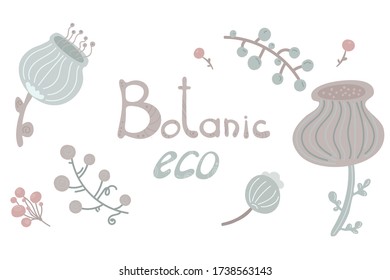 con plantas de colores tenues.  conjunto botánico y ecológico. Palabras botánicas, eco. vector de stock.