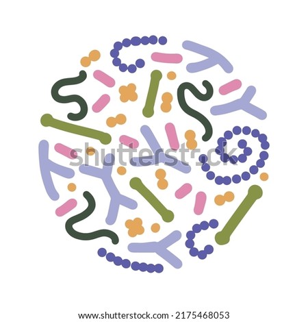 Concept of probiotics in round shape. Bifidobacterium, lactobacillus, streptococcus thermophilus, lactococcus, propionibacterium. Simple flat vector illustration for Brochure, poster, advertising