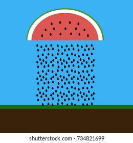 Concept of a rainy melon. Vector illustration. Modern flat design.