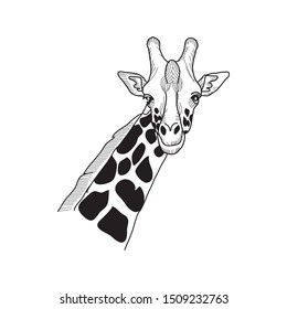 The concept of a rare animal vector giraffe's long neck is a children's favorite