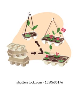 Concept of reducing waste Process of Upcycling utilized egg box container to plant seedling and flowers in pots Vertical gardening Illustration of recycling and reutilization Flat vector illustration