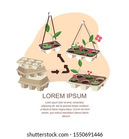 Concept of reducing waste Process of Upcycling utilized egg box container to plant seedling and flowers in pots Vertical gardening Illustration of recycling and reutilization Flat vector illustration
