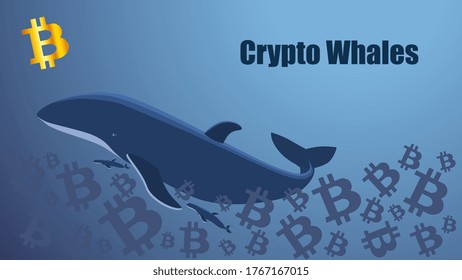 Concept screen with crypto whale floating in the sea of bitcoins. Golden bitcoin icon. Template for website or news illustration. Blue background. Vector EPS 10.
