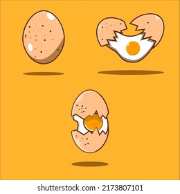 concept set bundle premium chicken egg vector illustration design