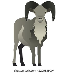 concept of sheep vector illustration 