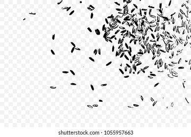 Concept of simple rice grain random thrown pattern on transparent background from top view. Traditional wealth and happiness symbol illustration. Vector.