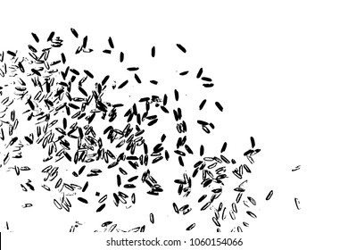 Concept of simple rice grain random thrown pattern on background from top view. Traditional wealth and happiness symbol illustration. Vector.
