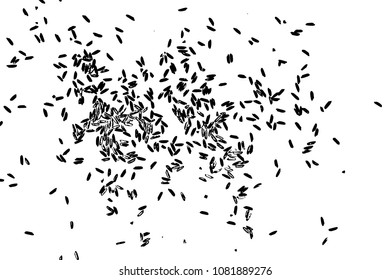 Concept of simple rice grain random thrown pattern on background from top view. Traditional wealth and happiness symbol illustration. Vector.