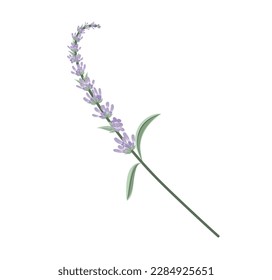 Concept Spa salon lavander. This flat illustration concept is perfect for use in web design and other digital applications, particularly for a spa salon. Vector illustration.