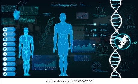 Concept of sports science, futuristic interface of heart analysis; digital blueprint of human. Analysis of the state of the heart, DNA a full examination. Futuristic interface HUD, Vector illustration