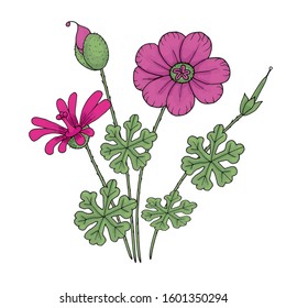 
concept of spring wildflowers in doodle style isolated on white background