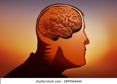 Concept for the study of brain faculties and mental illnesses, with a diagram of a man’s head in profile, showing the place of the brain in the skull.
