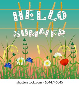 Concept Summer. Evening sky, wild herbs and flowers. Letters on clothespins on a rope. Text - Hello summer