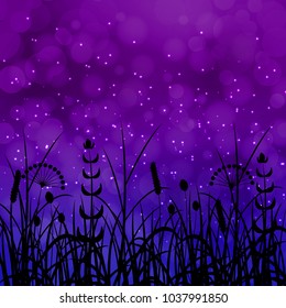 Concept Summer. Night sky, blur silhouettes field grass