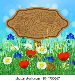 Concept Summer. Sky, blur, meadow with herbs and flowers. Wooden billboard for text