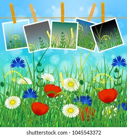 Concept Summer. Sky, blur, meadow with herbs and flowers. Summer photos on clothespins on a rope. You can insert your photos
