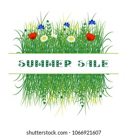 Concept Summer. Wild grass and flowers. Text - Summer Sale. On white background