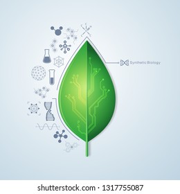 concept of synthetic biology or biological technology, graphic of single leaf with electronic pattern