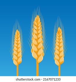 concepto de tres trigos dorados. Ilustración del vector