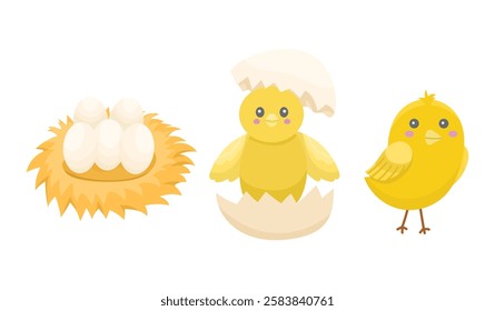 Concept of three stages of birth of little chicken, egg and birth. Vector cute illustration for farm, children's illustrations, character cute yellow chicken. Easter animal