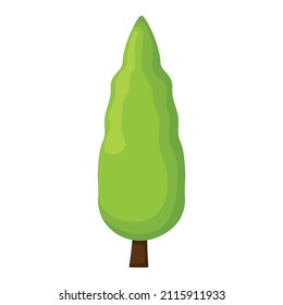 Concept tree organic natural pine and fir forest icon vector illustration botanical graphic wood landscape, isolated on white. Outdoor place.