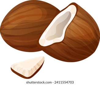 Concept tropical coconut icon, healthy natural asian popular nut cartoon vector illustration, isolated on white. Broken coco healthy isotonic drink foodstuff, asiatic cuisine component.