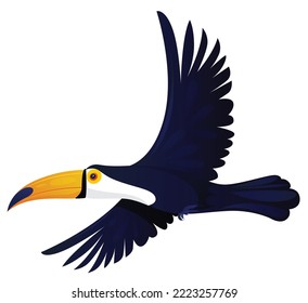 
concept of tucan birds vector art illustration