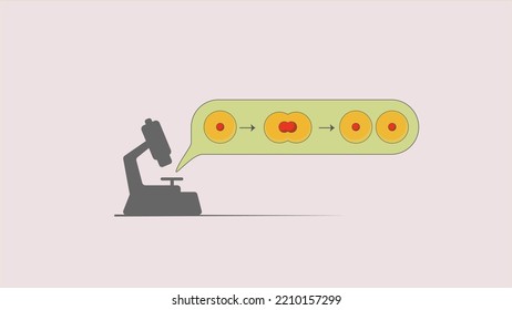 concept of using a microscope to see cell division