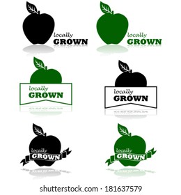 Concept vector illustration showing an apple and the words Locally Grown 
