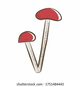 Konzept der Vektorgrafik von Pilzen, Miesmuschelgrafik auf Rot